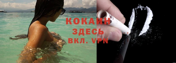 кокс Алзамай