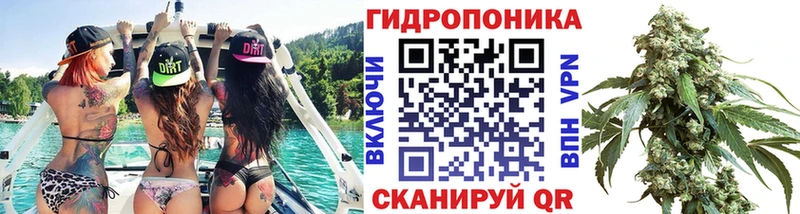кракен онион  Ковдор  Канабис Amnesia 